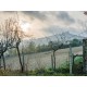 SMALL FARMHOUSE TO RENOVATE FOR SALE in Fermo in the Marche region in Italy in Le Marche_16